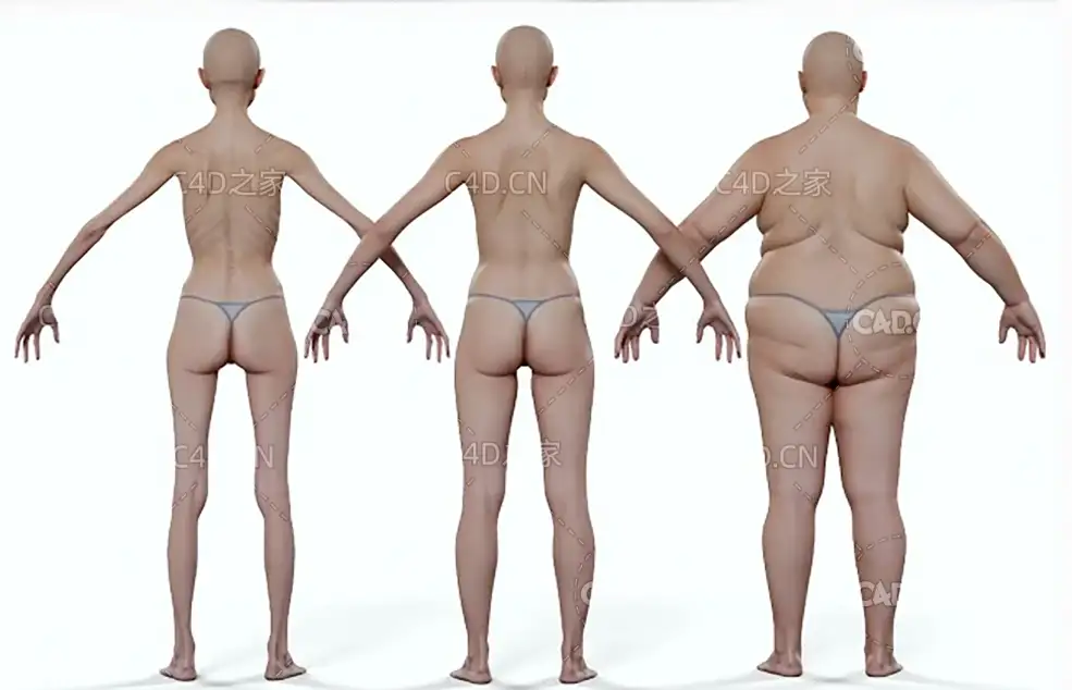男性女性人体模型下载 3DScan – Morphable Female and Male Base Mesh