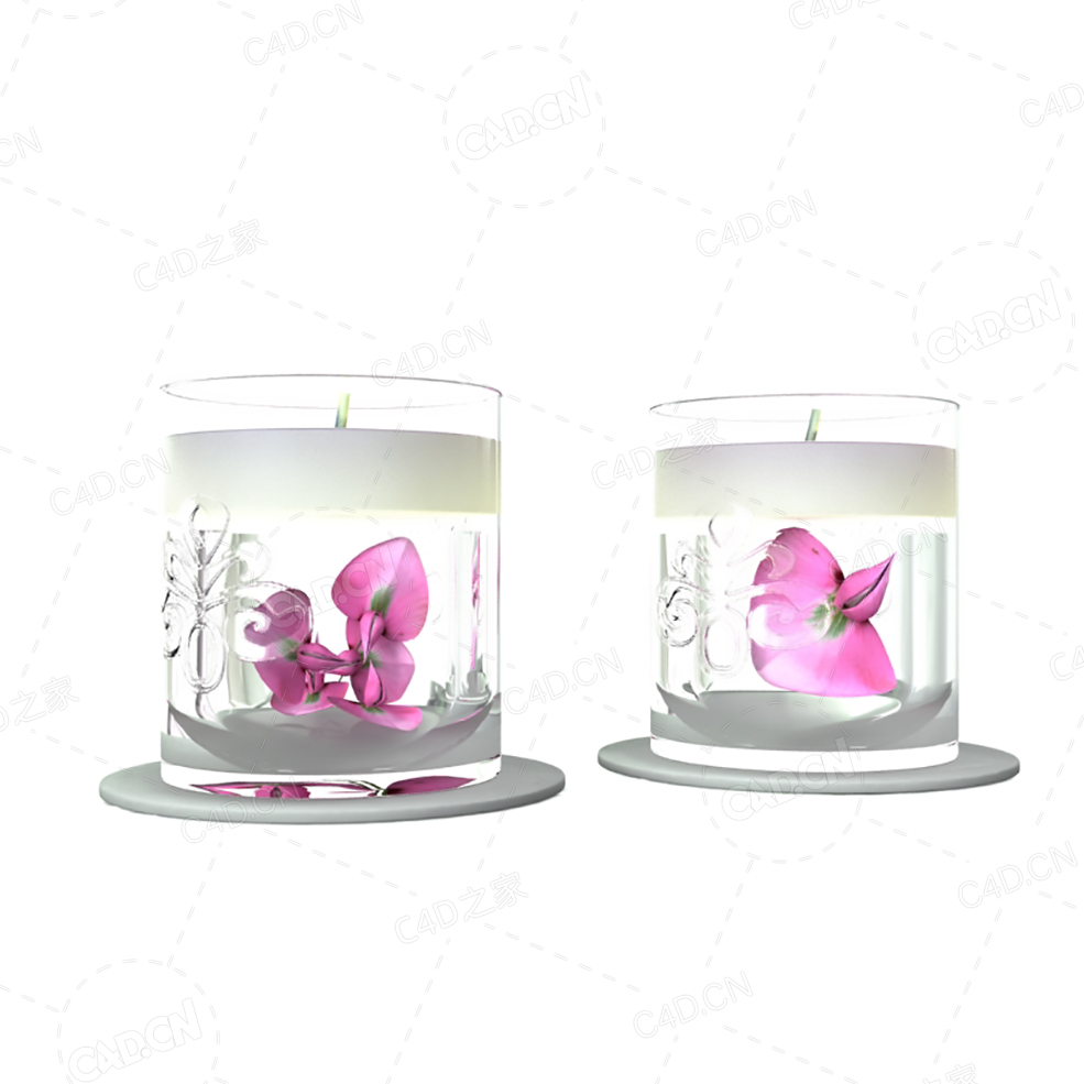 蝴蝶兰玻璃花瓶C4D模型 - C4D之家 - 042.jpg