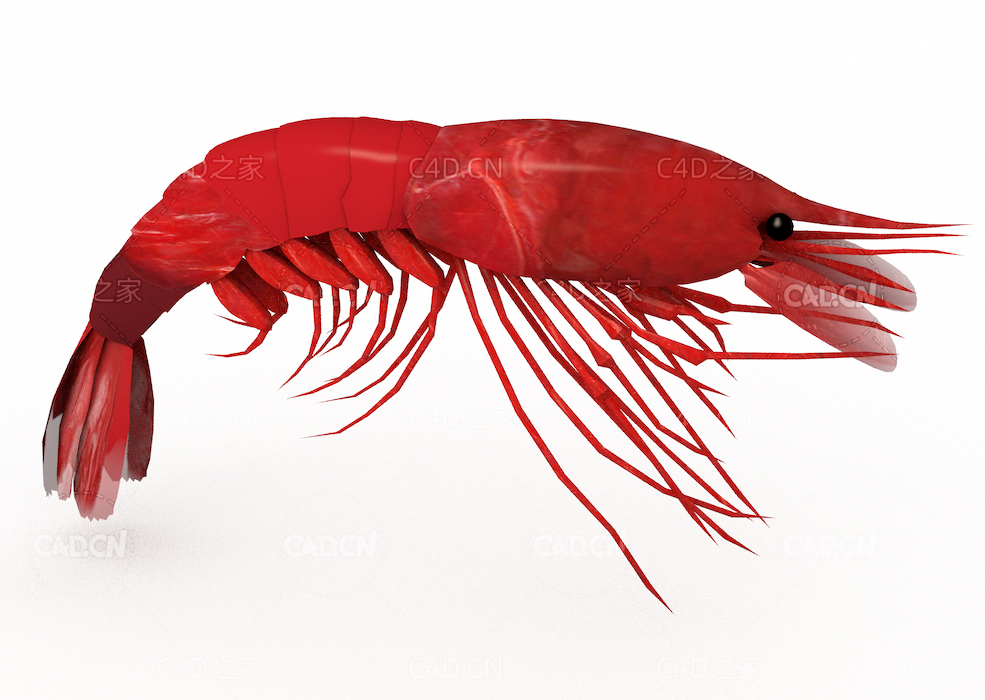 红红的小龙虾C4D模型Lobster 3D Model - C4D之家 - 01.jpg