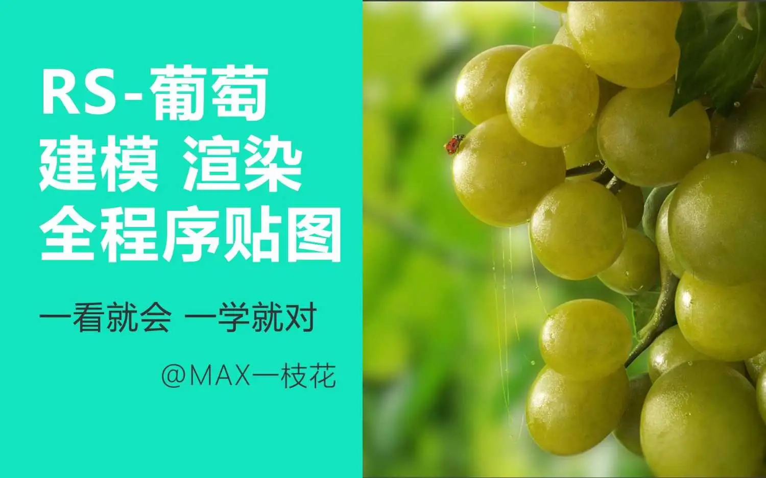 RS-葡萄渲染-全程序贴图-场景渲染案例教程 - C4D之家 - 封面图.jpg