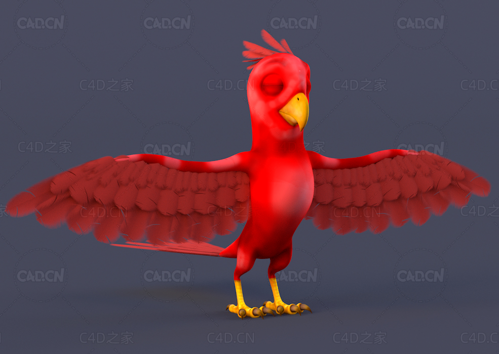 闭眼的红色小鹦鹉C4D模型parrot piero