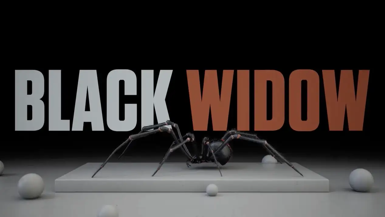 C4D电影黑寡妇蜘蛛建模贴图绑定动画教程Black Widow-Spider in Cinema 4D - C4D之家 - cinema4d_ 2022-05-13 08.50.31.png