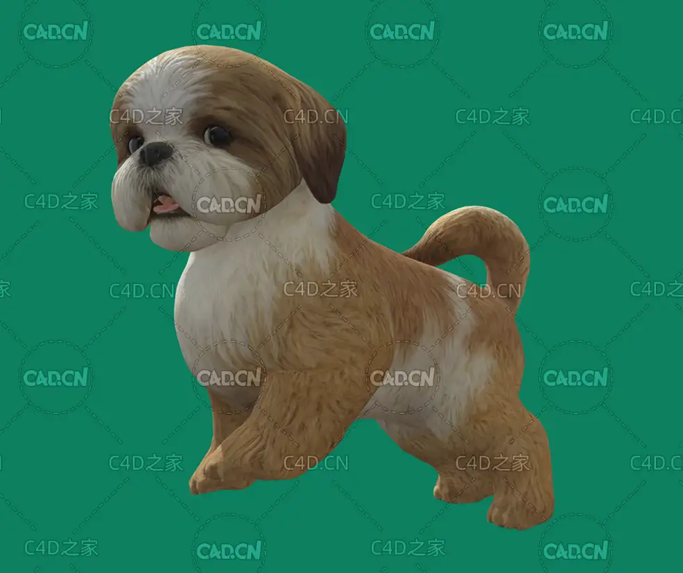 C4D西施犬宠物狗模型
