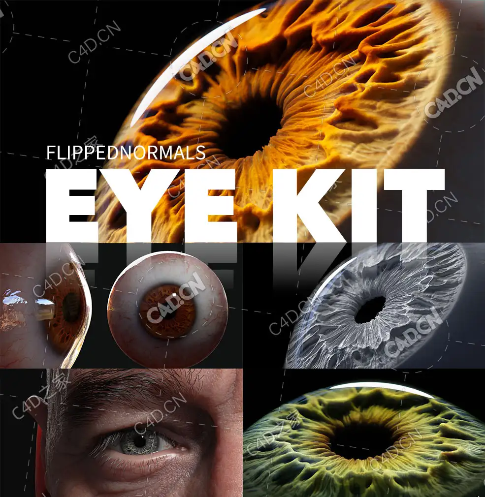 三维真实眼睛瞳孔眼球模型3D模型+贴图 FlippedNormals – Eye Kit