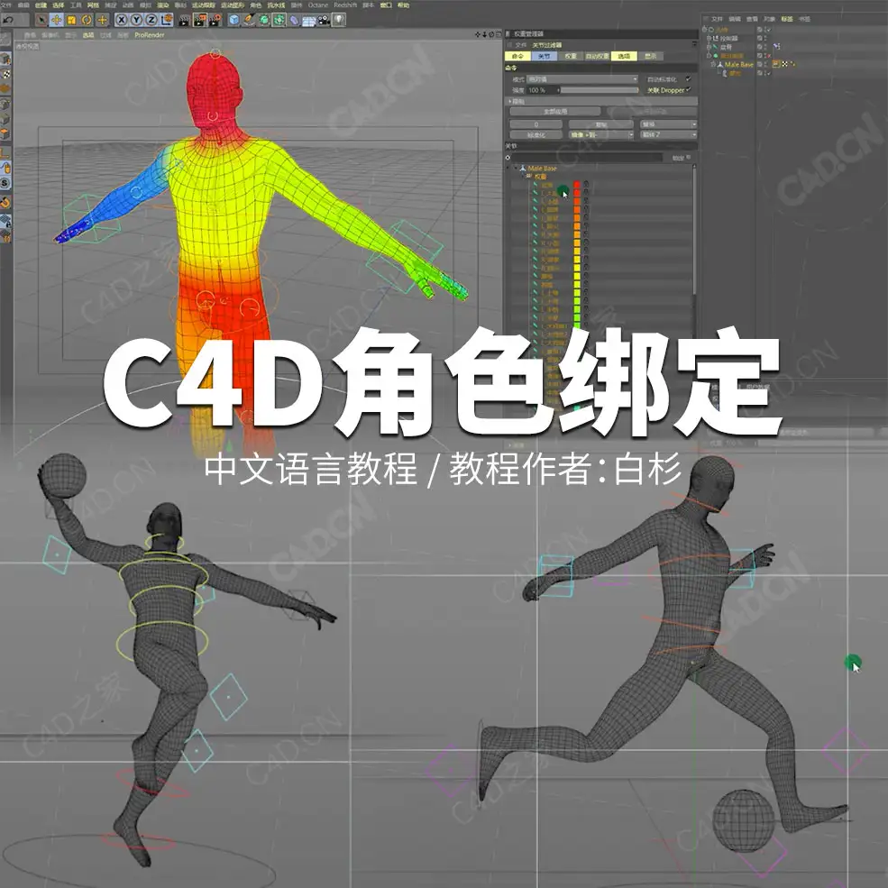 C4D人物角色绑定中文视频教程