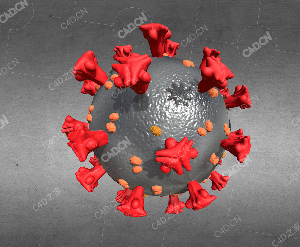 新型冠状病毒毒株模型corona virus human