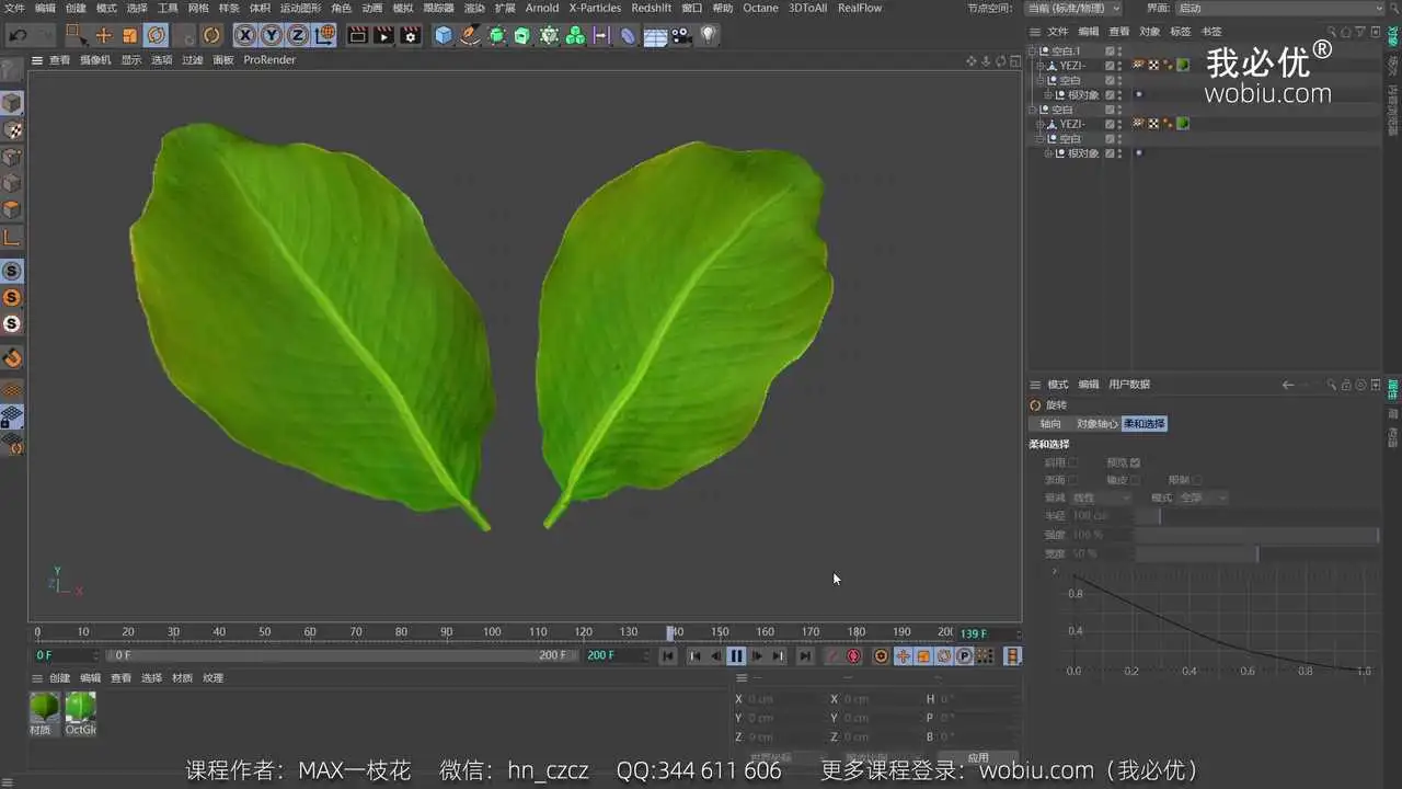 【C4D教程】叶子的骨骼绑定 花草树木绑定 - C4D之家 - 2021年100集课程完美收官【我必优】[00_00_40][20220630-154755].png