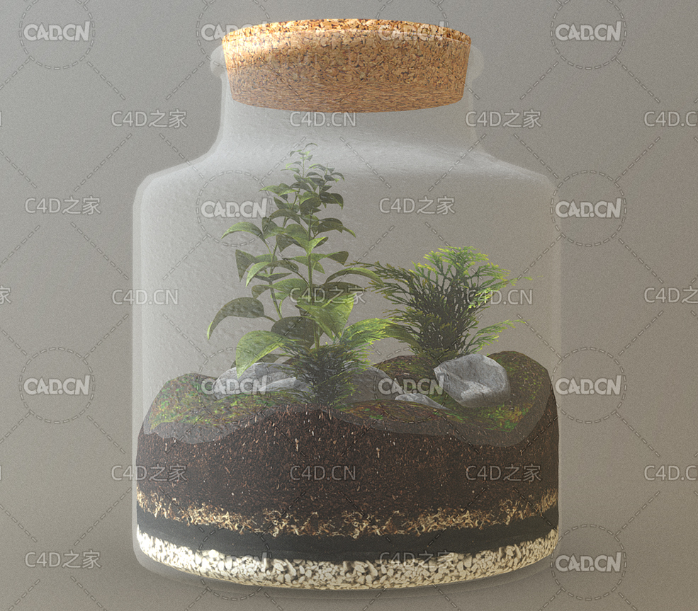 玻璃容器中的植物生态环境forestInJar - C4D之家 - 92.jpg