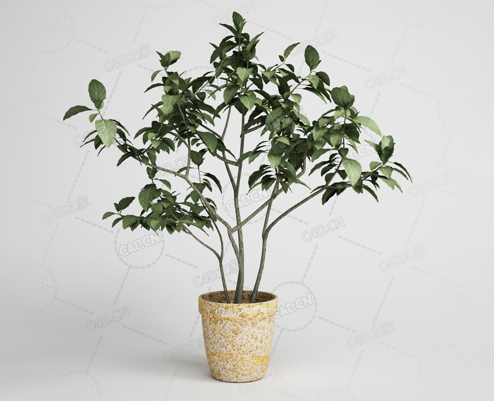 树木景观盆栽植物模型下载 - C4D之家 - 08.png