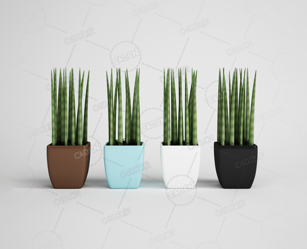 四盆芦荟绿植盆栽模型下载 - C4D之家 - 09.png