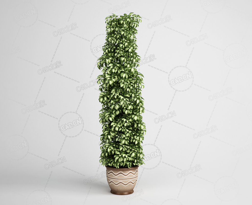 公司景观植物盆栽绿植模型下载 - C4D之家 - 17.png