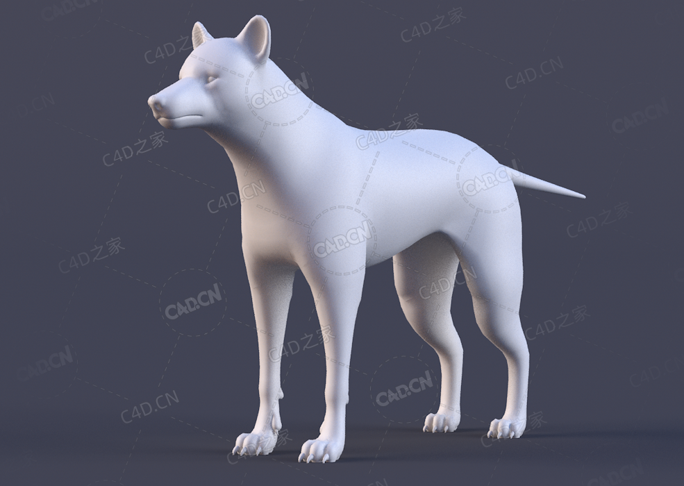 野狼白模Wolf Base Mesh