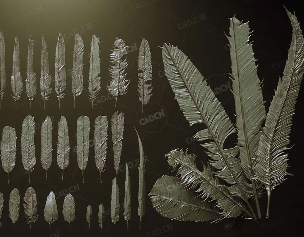 26个鸡鸟羽毛3D模型 ArtStation – FEATHERS – 40 High poly sculpts and IMM Brush - C4D之家 - R-C.jpg