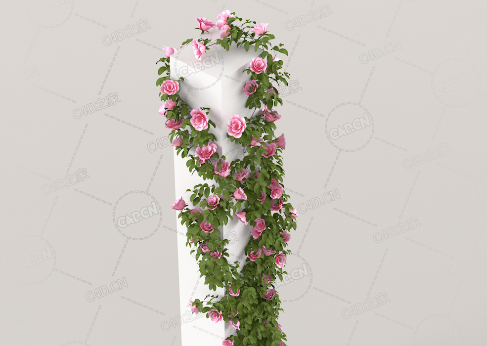 爬藤蔷薇花粉红色花卉C4D模型Roses - Climbing - 2.08 m - 02
