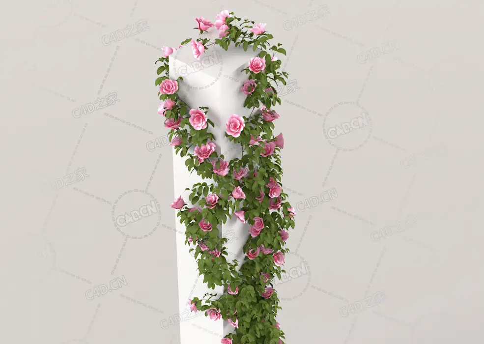 爬藤蔷薇花粉红色花卉C4D模型Roses - Climbing - 2.08 m - 02 - C4D之家 - 05.jpg