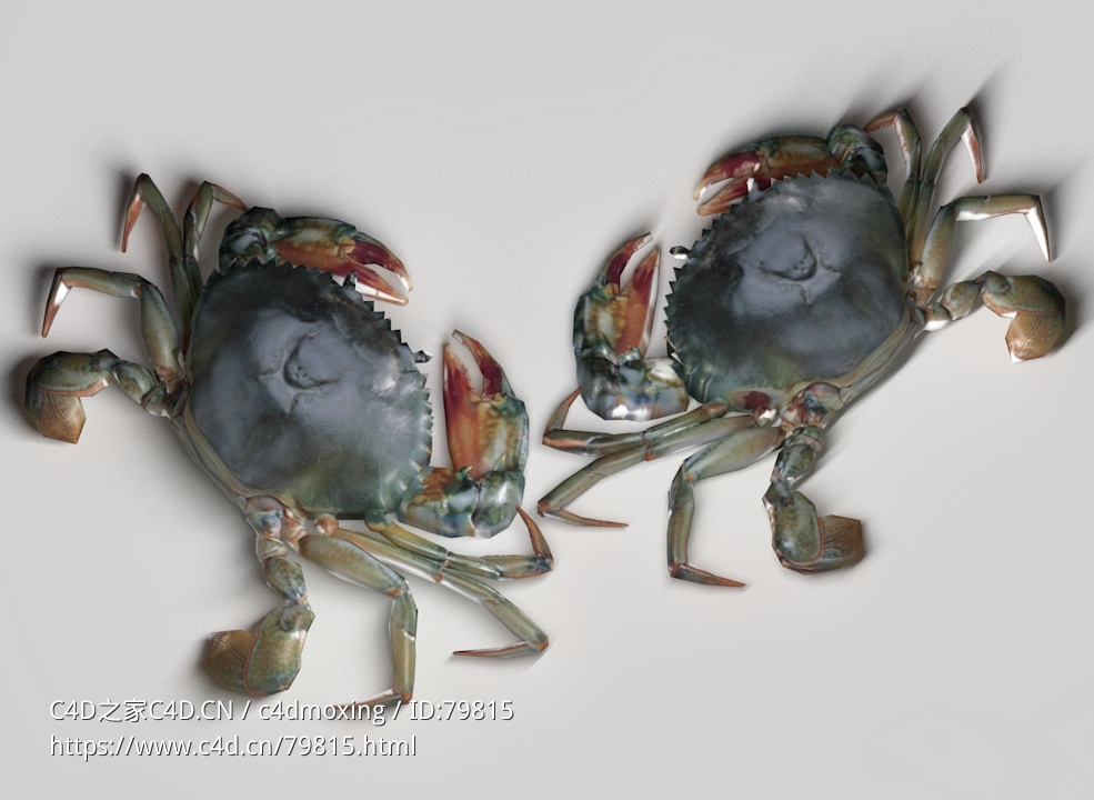 低面螃蟹模型Crab