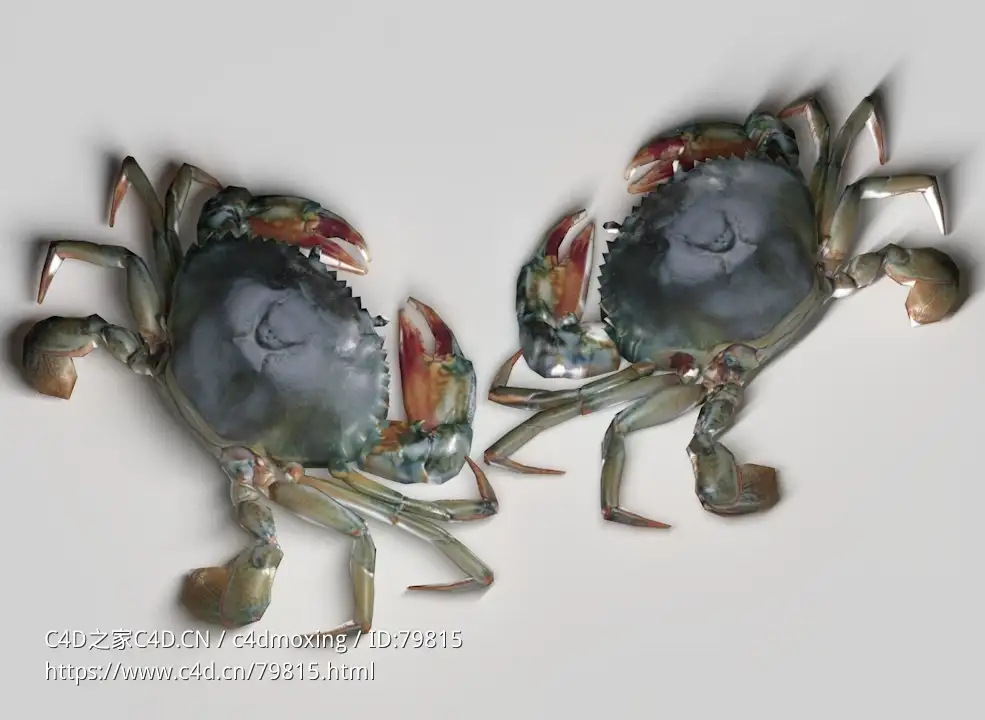低面螃蟹模型Crab