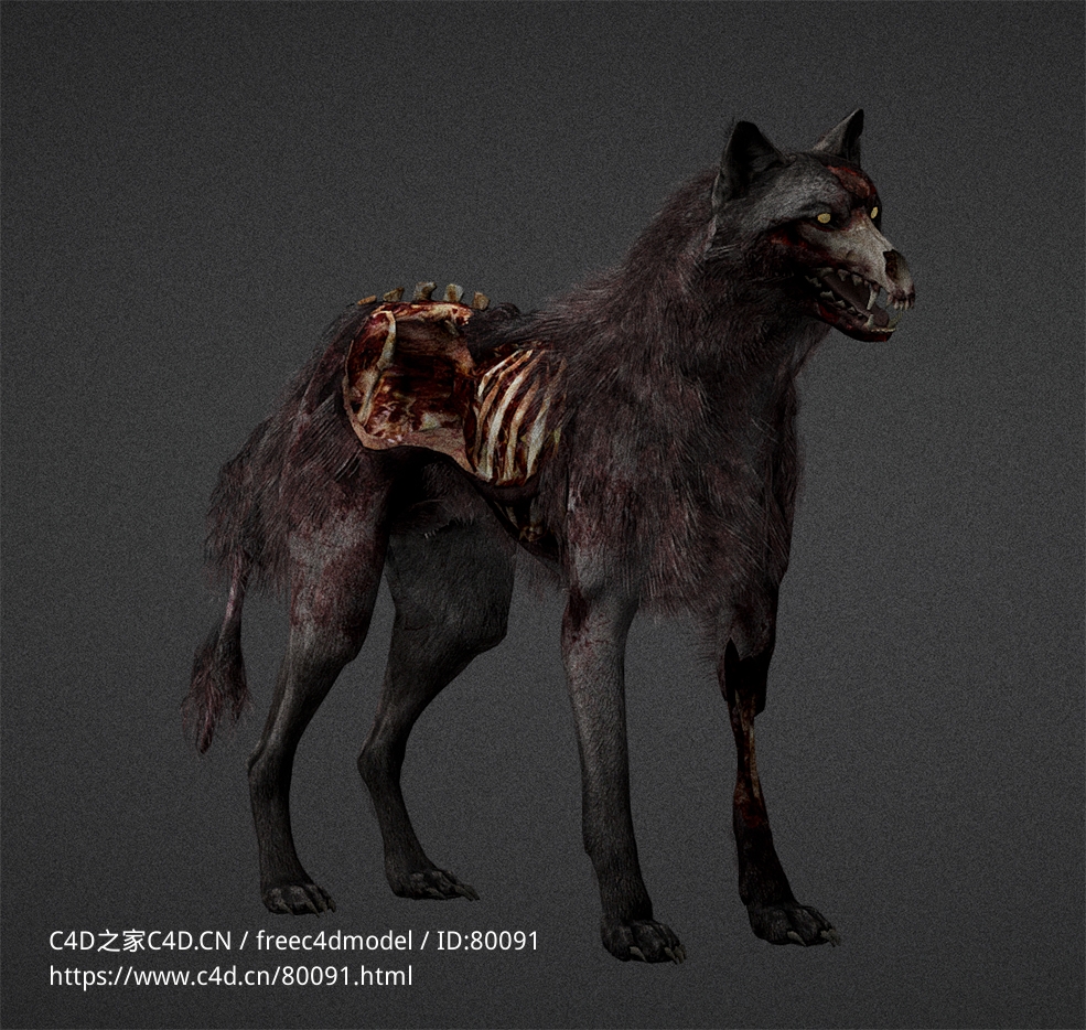 露骨的僵尸野狼幽灵狼狗cod-ghosts-hellhound - C4D之家 - 09.jpg