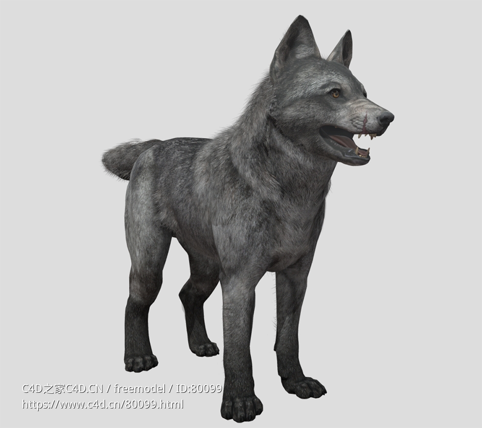 野狼崽fan-made-cod-ghosts-wolf-pup