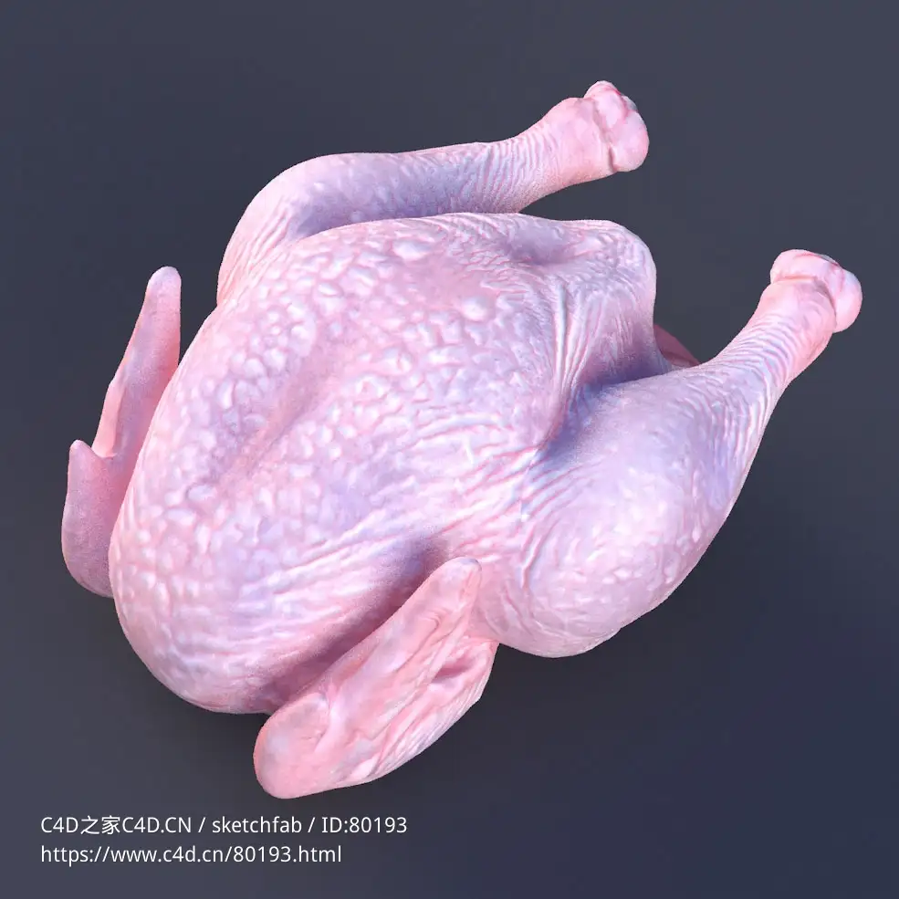 整只鸡冷冻生鸡c4d模型下载