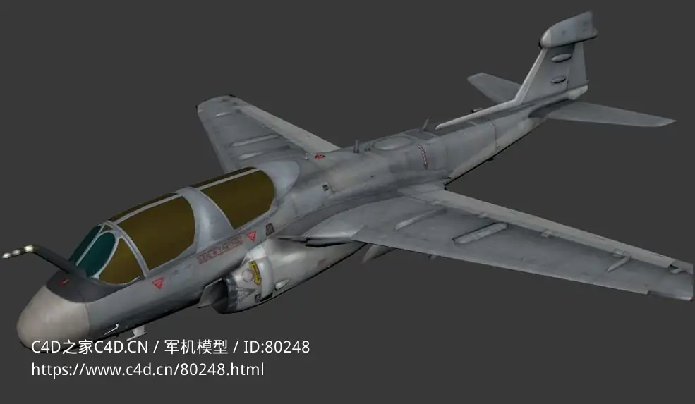 美国EA-6B“徘徊者”电子战飞机EA-6B Prowler