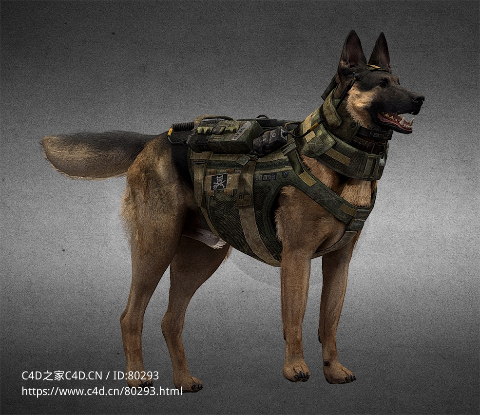 警犬狼狗v2-cod-riley