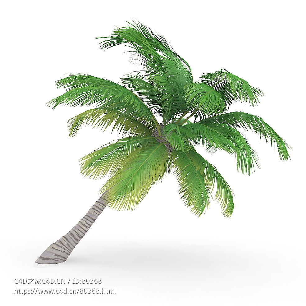 海边椰子树 - C4D之家 - 15.jpg