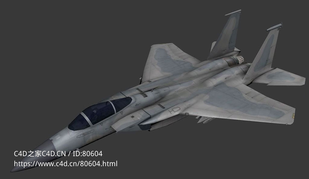 美国空军RF-15 “侦察鹰”战斗机侦察机RF-15 PeakEagle