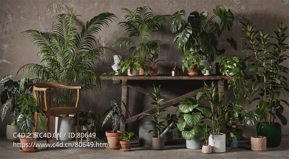 48个景观盆栽绿植模型 3DCollective – Interior Plants Pack 01 (3DS MAX/OBJ格式) - C4D之家 - 3DC_InteriorPlants_Pack01_EN-1.jpg