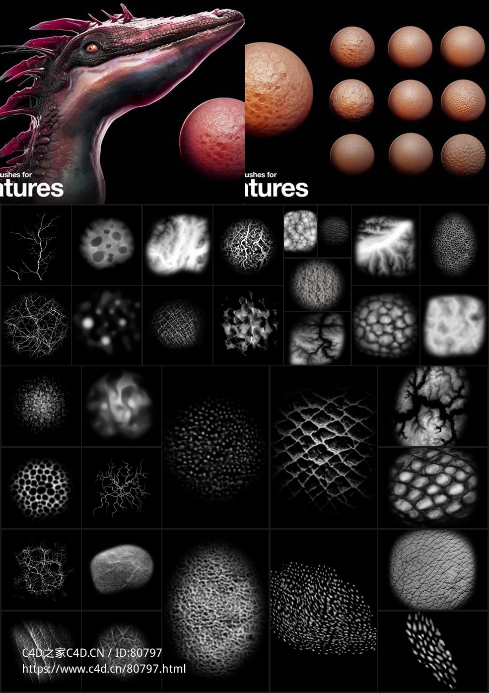 32组生物皮肤黑白深度图片素材 32 Alpha Brushes for Creatures - C4D之家 - 未命名.jpg