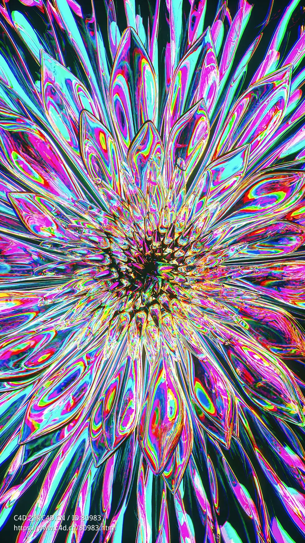 炫彩玻璃花朵c4d octane渲染工程文件Glass Petals #3