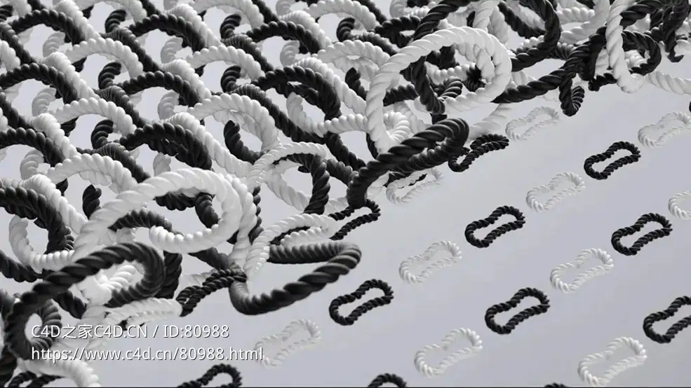 C4D Reeper 2.04绳子编织动画完整教程