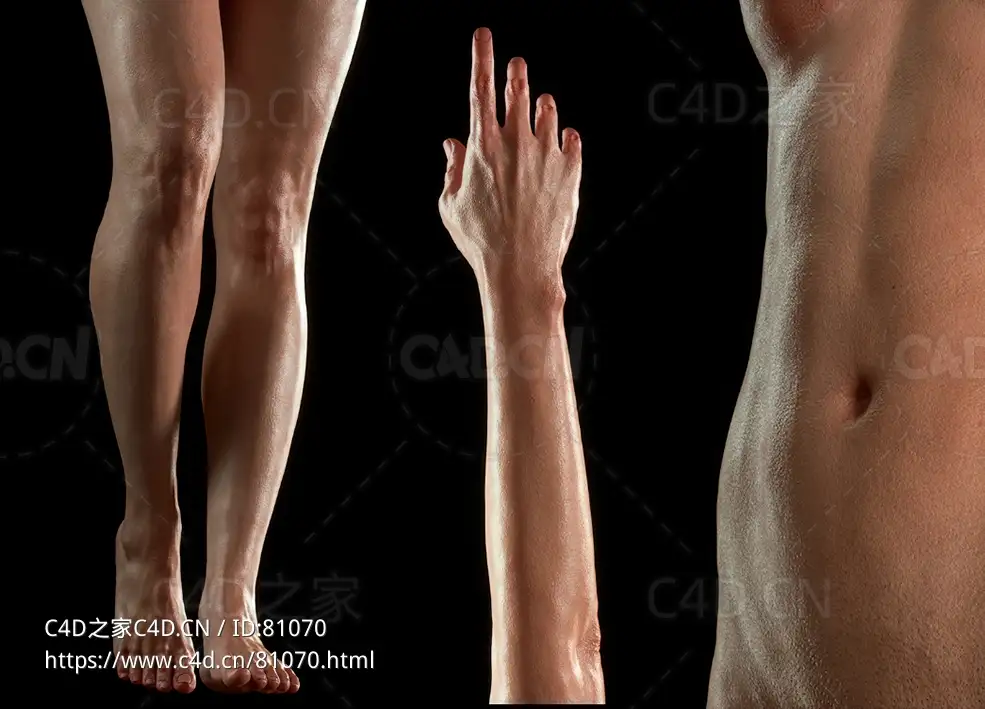 C4D OC人物皮肤材质球腿部手臂身体头部脸部皮肤纹理Skin Material For Octane Render & Cinema 4D