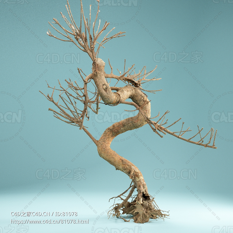 弯曲树根景观树Dead Bonsai 08 - C4D之家 - 8.jpg