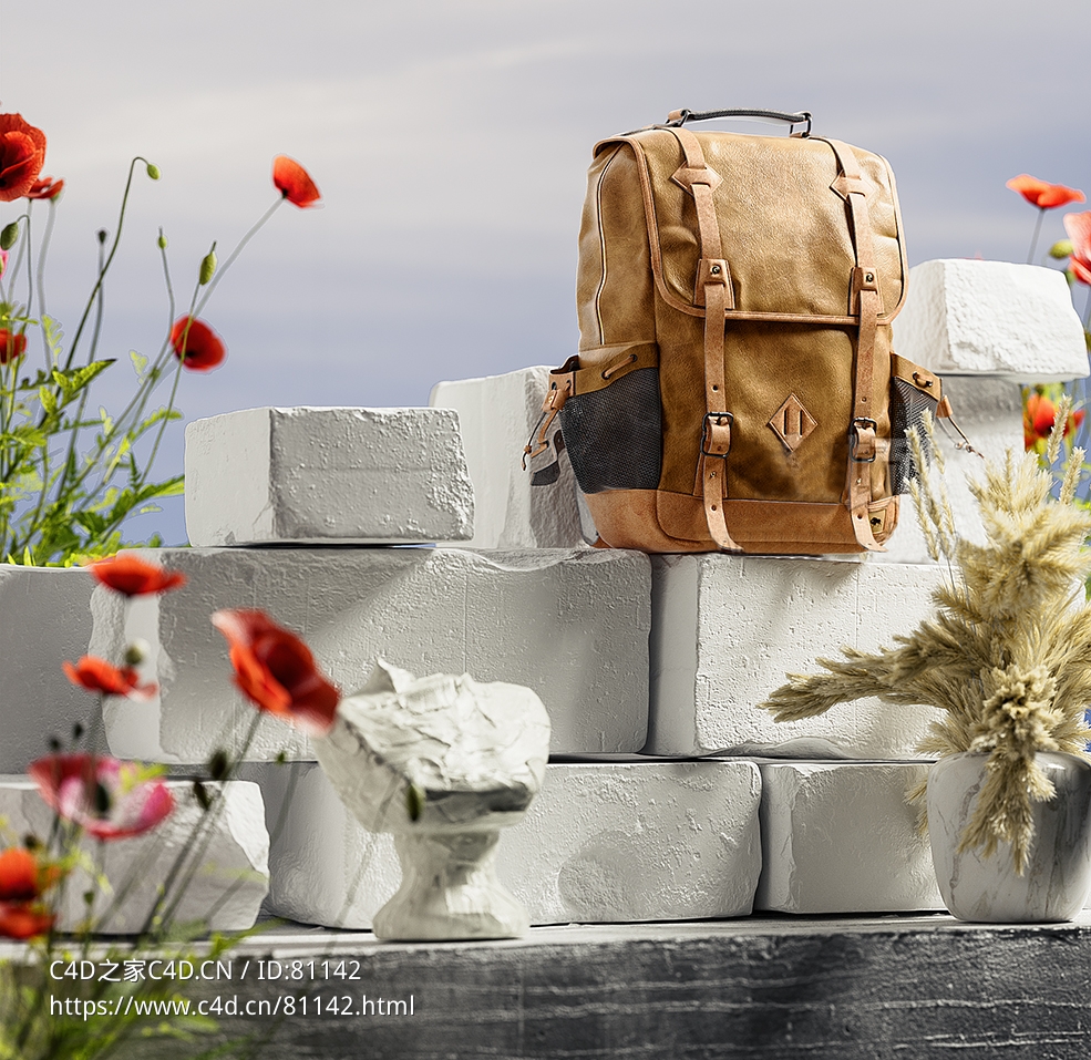C4D OC户外皮革背包产品渲染模型 - C4D之家 - 有背景.jpg