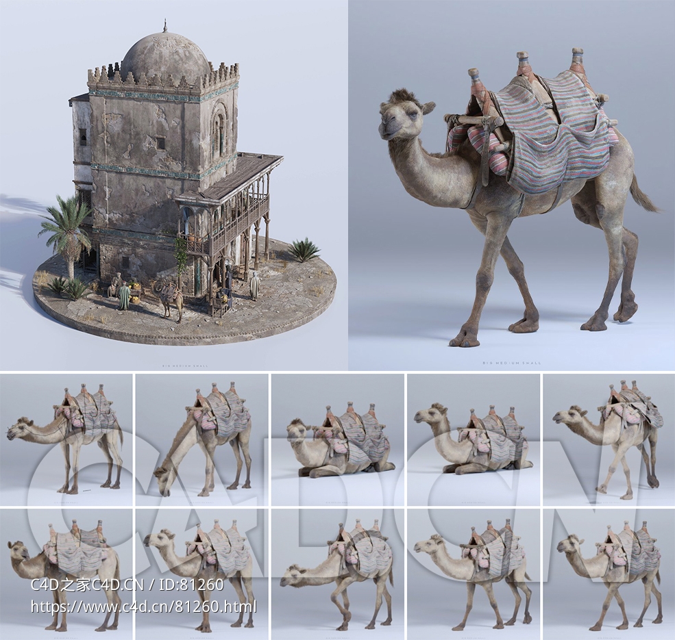 热带沙漠地带的中东集市3D模型合集GRAND BAZAAR - C4D之家 - 4.jpg