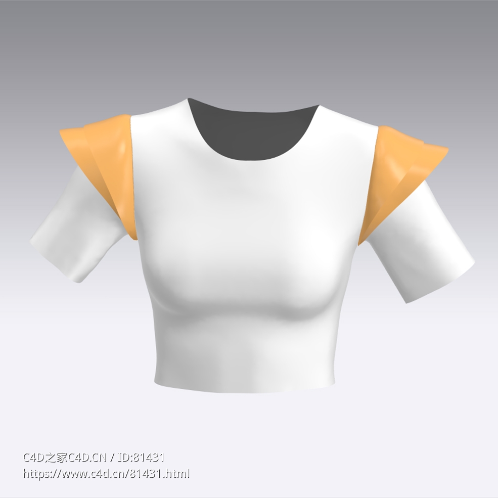 c4d模型女性衣服上衣Sleeves-21 - C4D之家 - 21.jpg