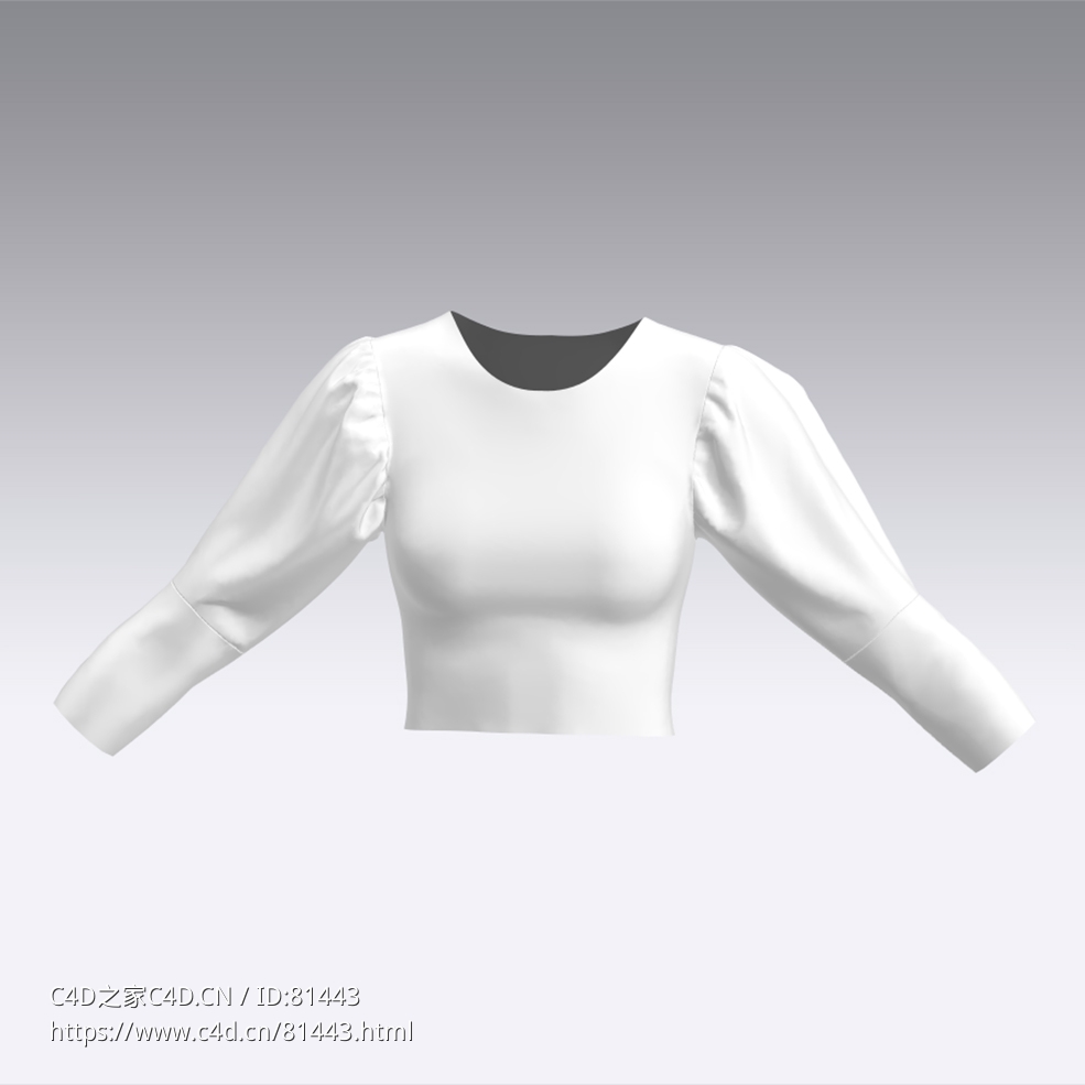 c4d模型女性衣服上衣Sleeves-28 - C4D之家 - 28.jpg