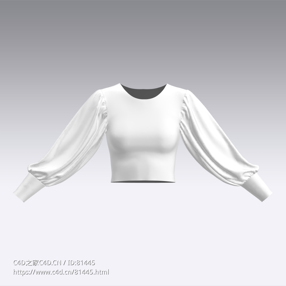 c4d模型女性衣服上衣Sleeves-30 - C4D之家 - 30.jpg