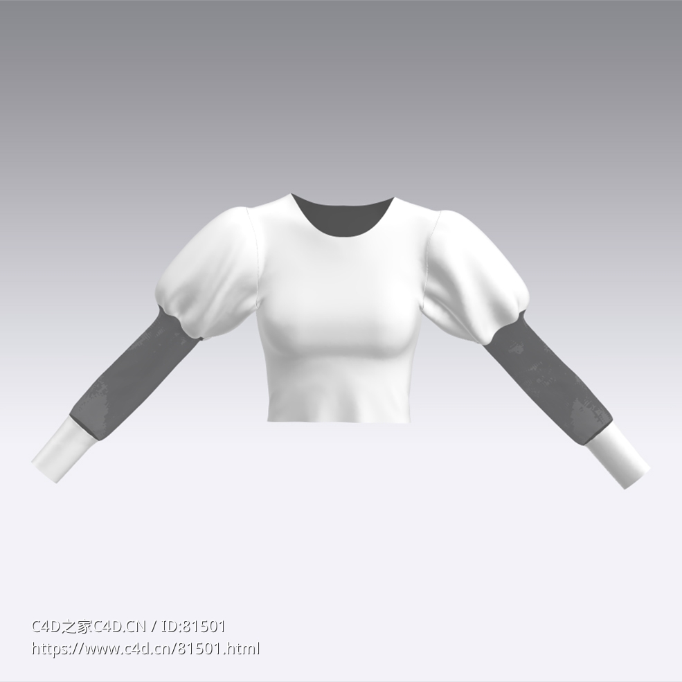 c4d模型女性衣服上衣Sleeves-32 - C4D之家 - 32.jpg