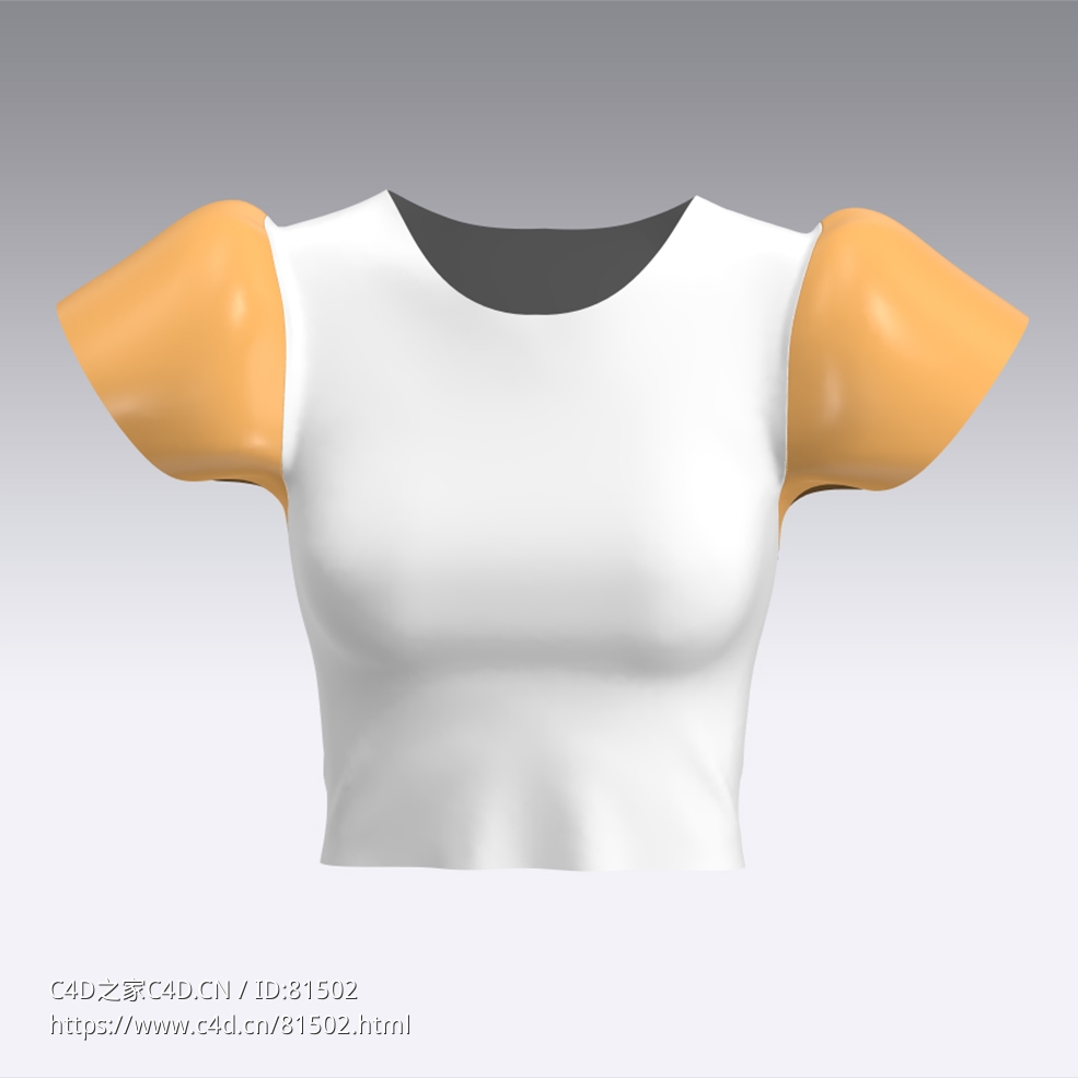 c4d模型女性衣服上衣Sleeves-33 - C4D之家 - 33.jpg