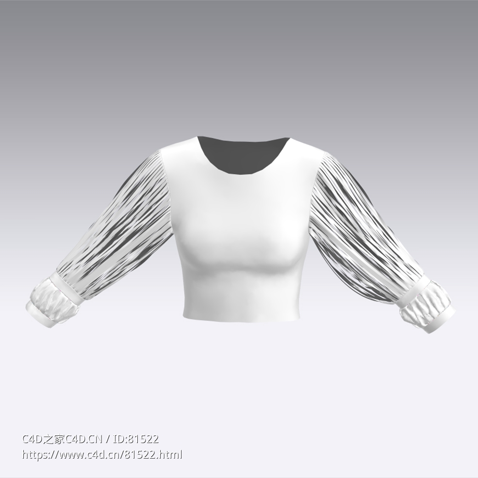 c4d模型女性衣服上衣Sleeves-53