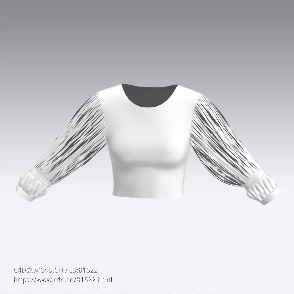 c4d模型女性衣服上衣Sleeves-53