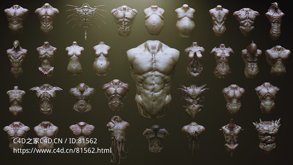 33个怪物怪兽身体三维模型 Artstation – TORSOS – 33 Character & Creature Zbrush Insertmesh Brush