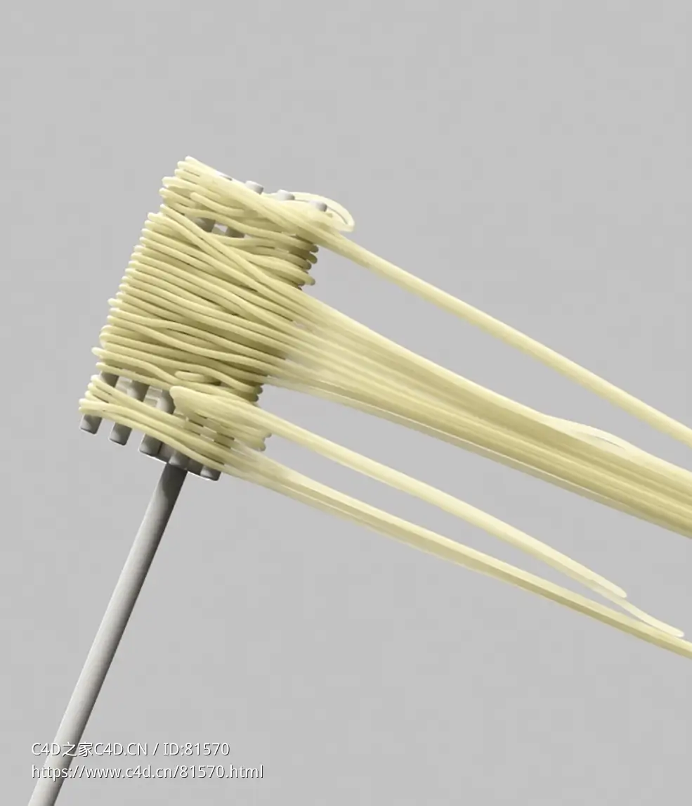 面条缠绕C4D OCTANE动画工程