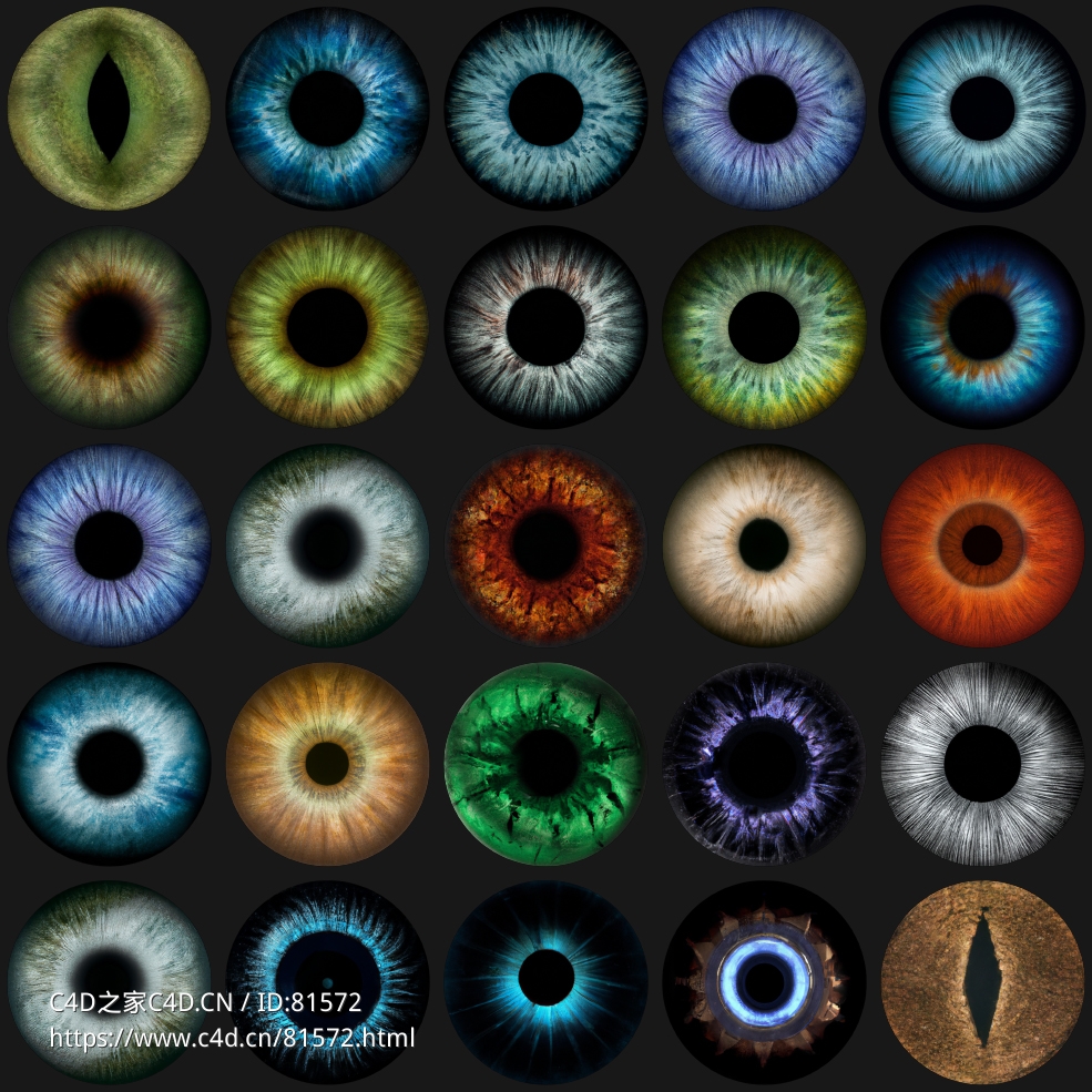 ActionVFX – 27 Eye Textures27幅人物动物眼球虹膜贴图素材