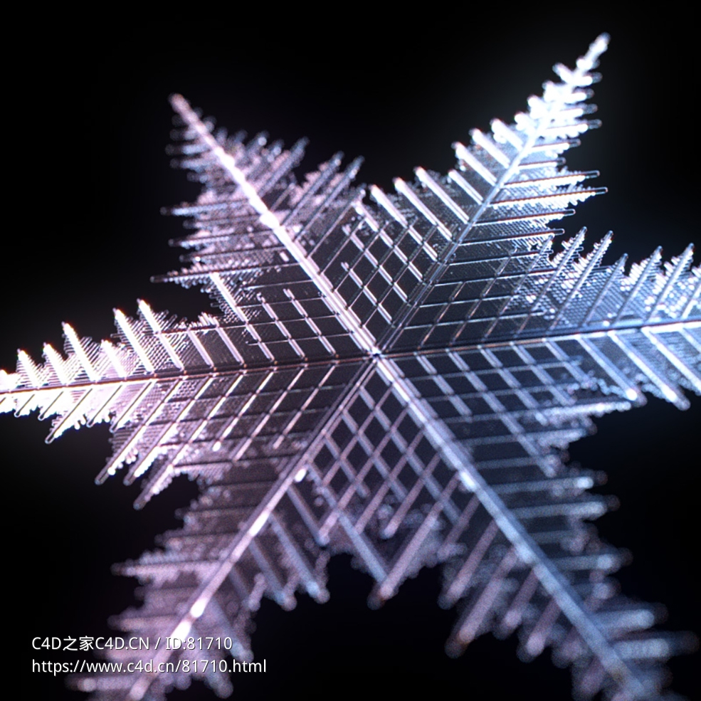 冰花branch symmetry r16-r23 x-particles cycles4d - C4D之家 - 005.jpg