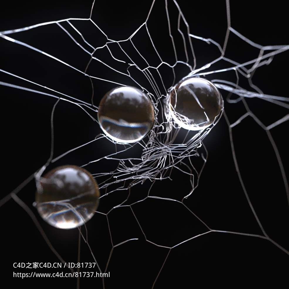 蜘蛛网上的水珠Dynamic Splines R20-R21 Fields (X-Particles/Cycles 4D) - C4D之家 - 023.jpg