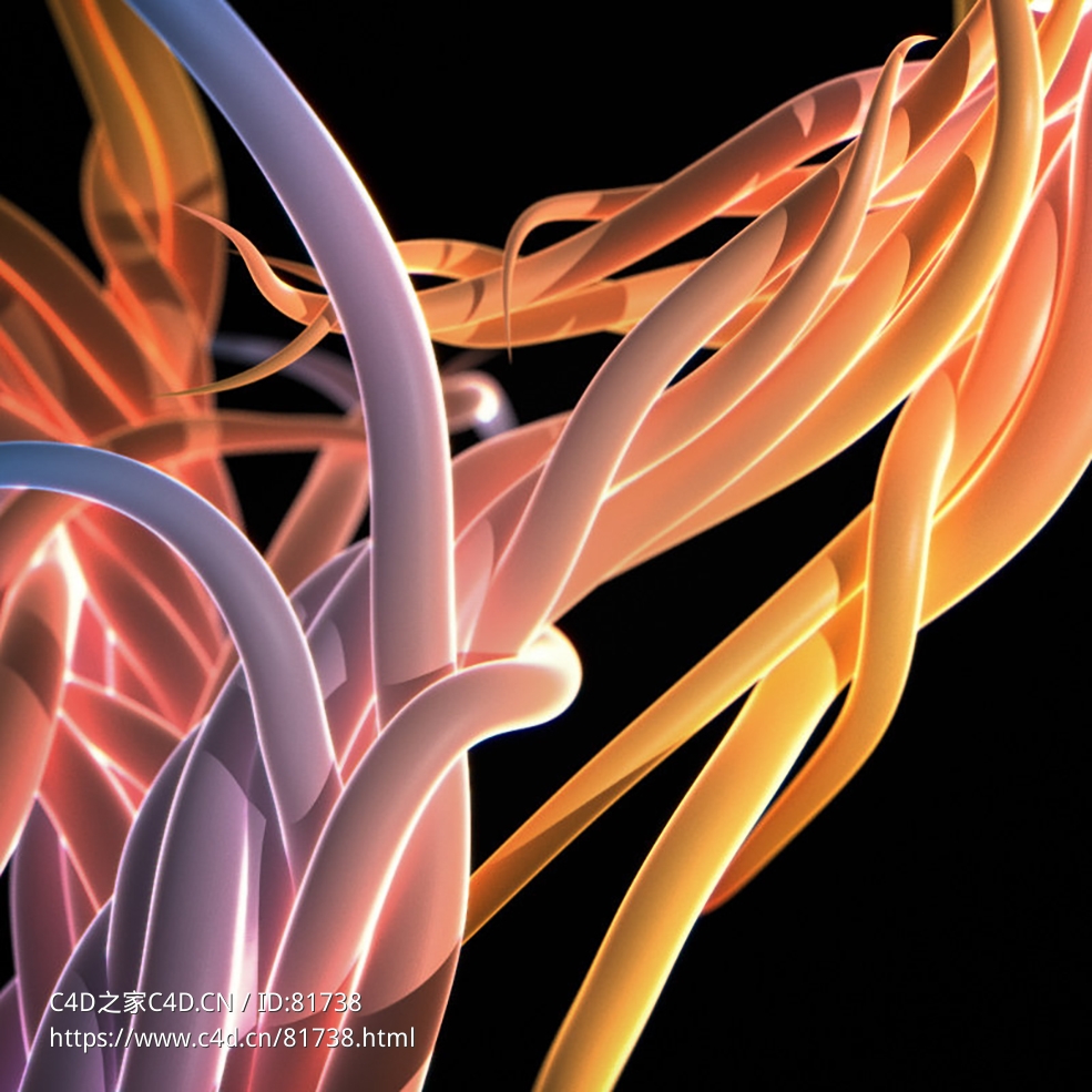 粒子样条Dynamic Tendrils R16-R21 (X-Particles/Cycles 4D) - C4D之家 - 024.jpg