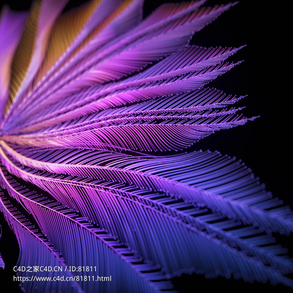 七彩网线羽毛叶子intersection detection avoid r16-r23 x-particles cycles4d - C4D之家 - 074.jpg